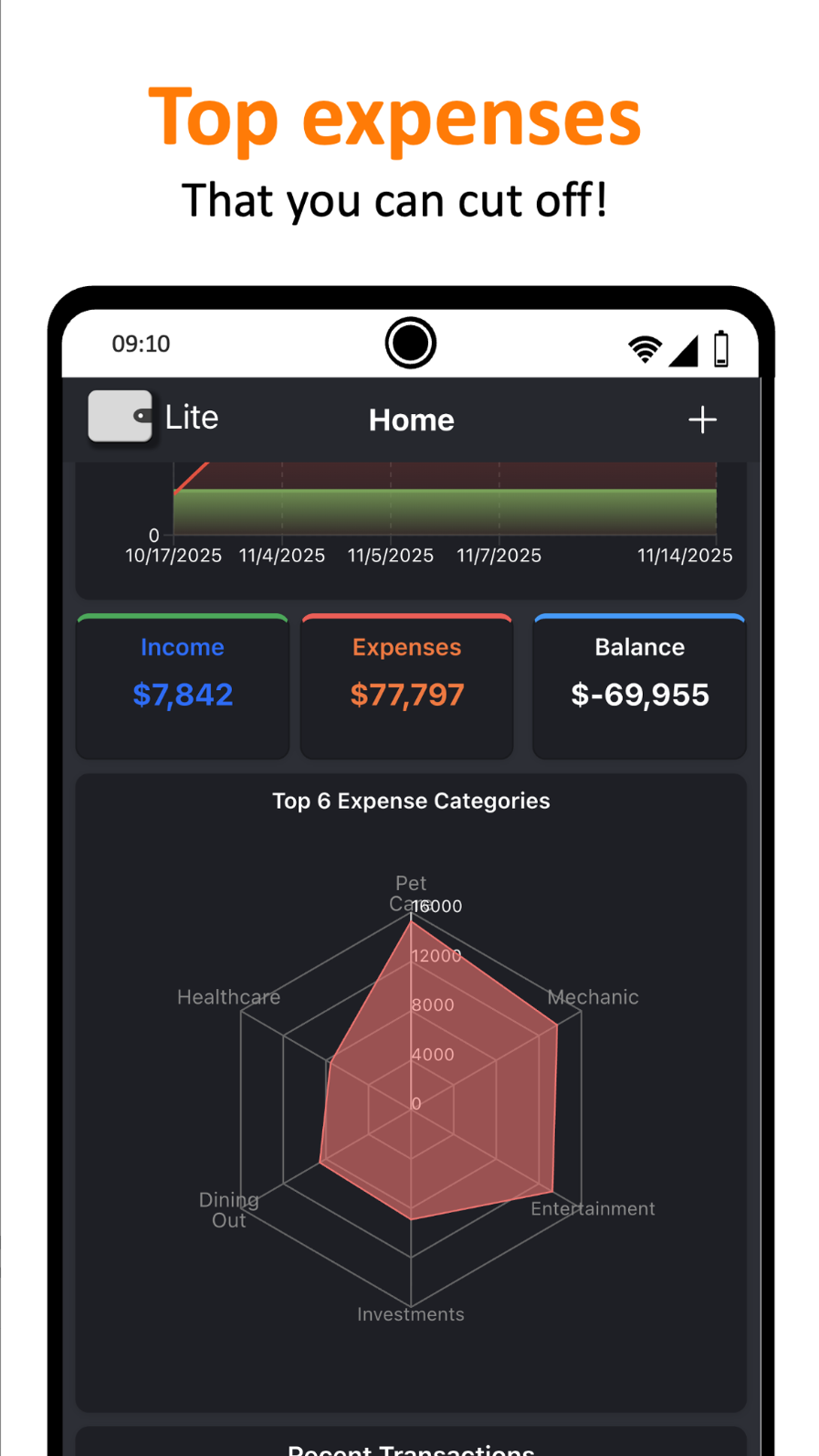 Track Expenses